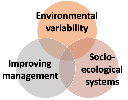 research_venn